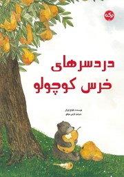 معرفی و دانلود کتاب دردسرهای خرس کوچولو