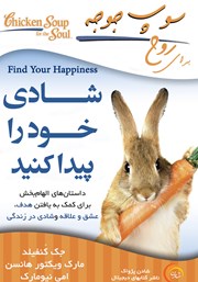 دانلود کتاب سوپ جوجه برای روح: شادی خود را پیدا کنید