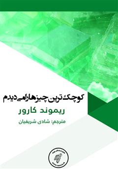 دانلود کتاب کوچک‌ترین چیزها را می‌دیدم