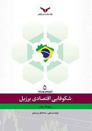 دانلود کتاب شکوفایی اقتصادی برزیل