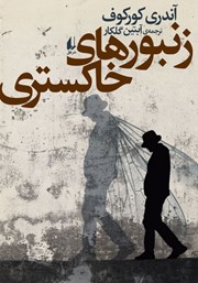 دانلود کتاب زنبورهای خاکستری