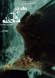 دانلود کتاب کابوس پرواز