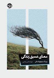 معرفی و دانلود کتاب معنای عمیق زندگی