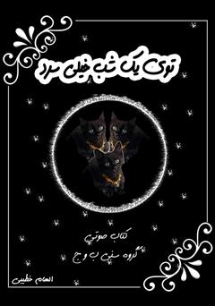 معرفی و دانلود کتاب صوتی توی یک شب خیلی سرد