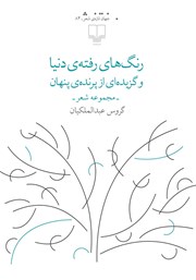 دانلود کتاب رنگ‌های رفته‌ی دنیا و گزیده‌ای از پرنده‌ی پنهان