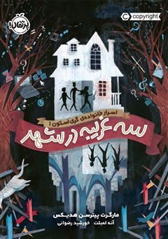 دانلود کتاب اسرار خانوادهی گری استون 1: سه غریبه در شهر