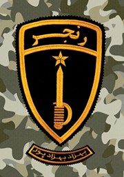 دانلود کتاب رنجر