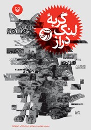 دانلود کتاب گربه‌ لنگ دراز
