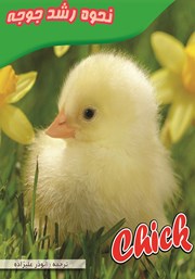 دانلود کتاب جوجه چگونه رشد می‌کند