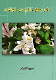 دانلود کتاب دلم بهارنارنج می‌خواهد