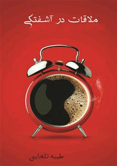 دانلود کتاب ملاقات در آشفتگی