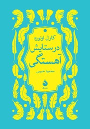 معرفی و دانلود کتاب در ستایش آهستگی